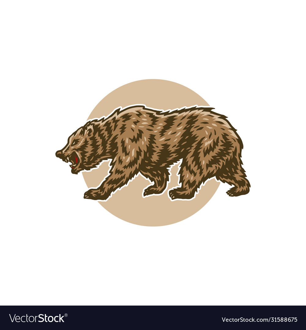 Bear vector image Bear
