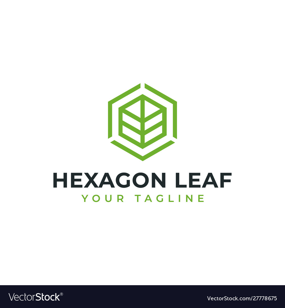 Hexagon leaf eco garden botany nature line logo