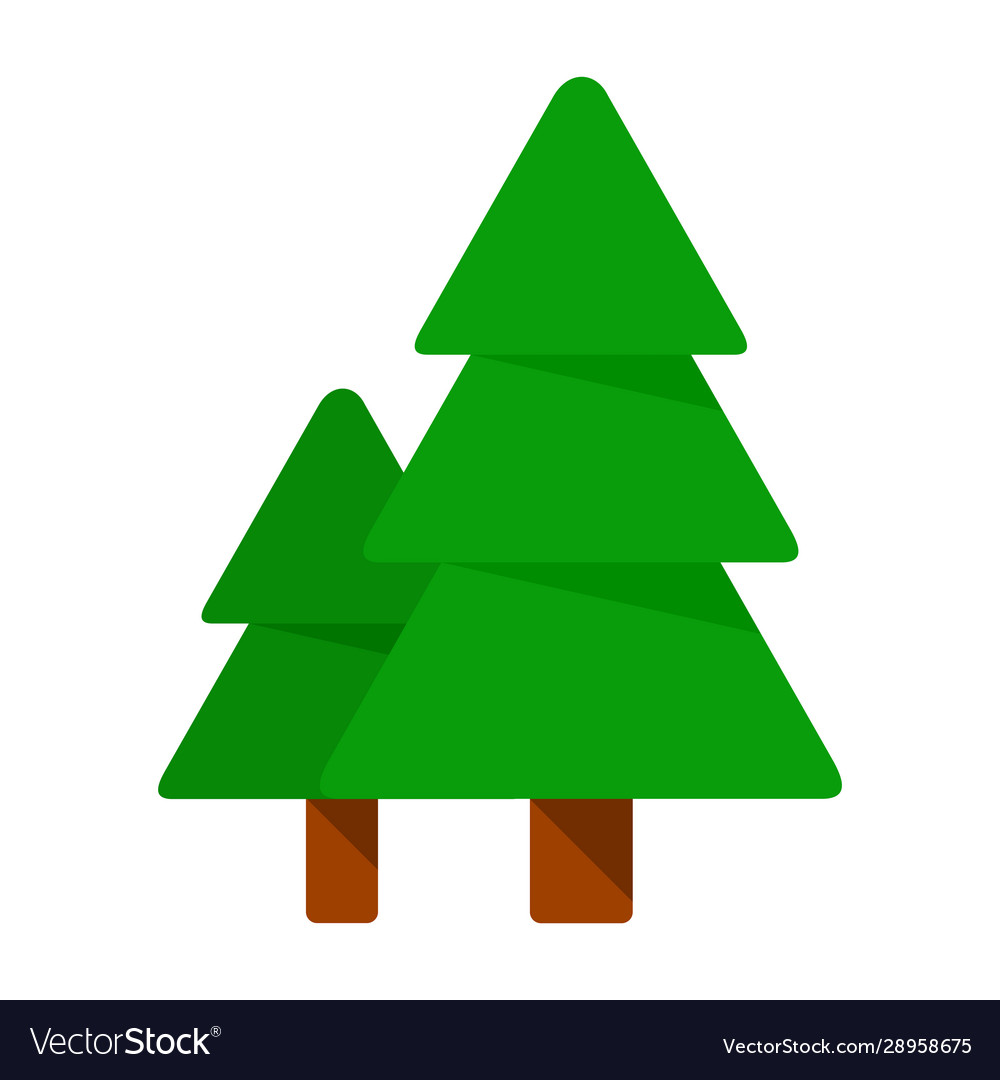 Two forest fir-trees flat isolated Royalty Free Vector Image