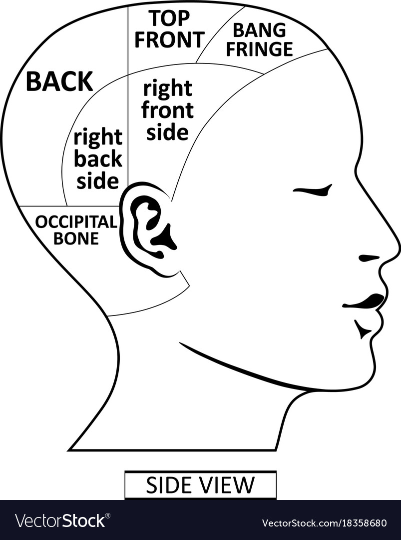 Human Head Side Profile Template