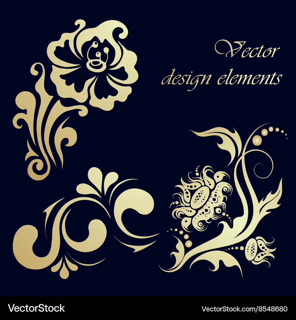 Set floral design elements Royalty Free Vector Image