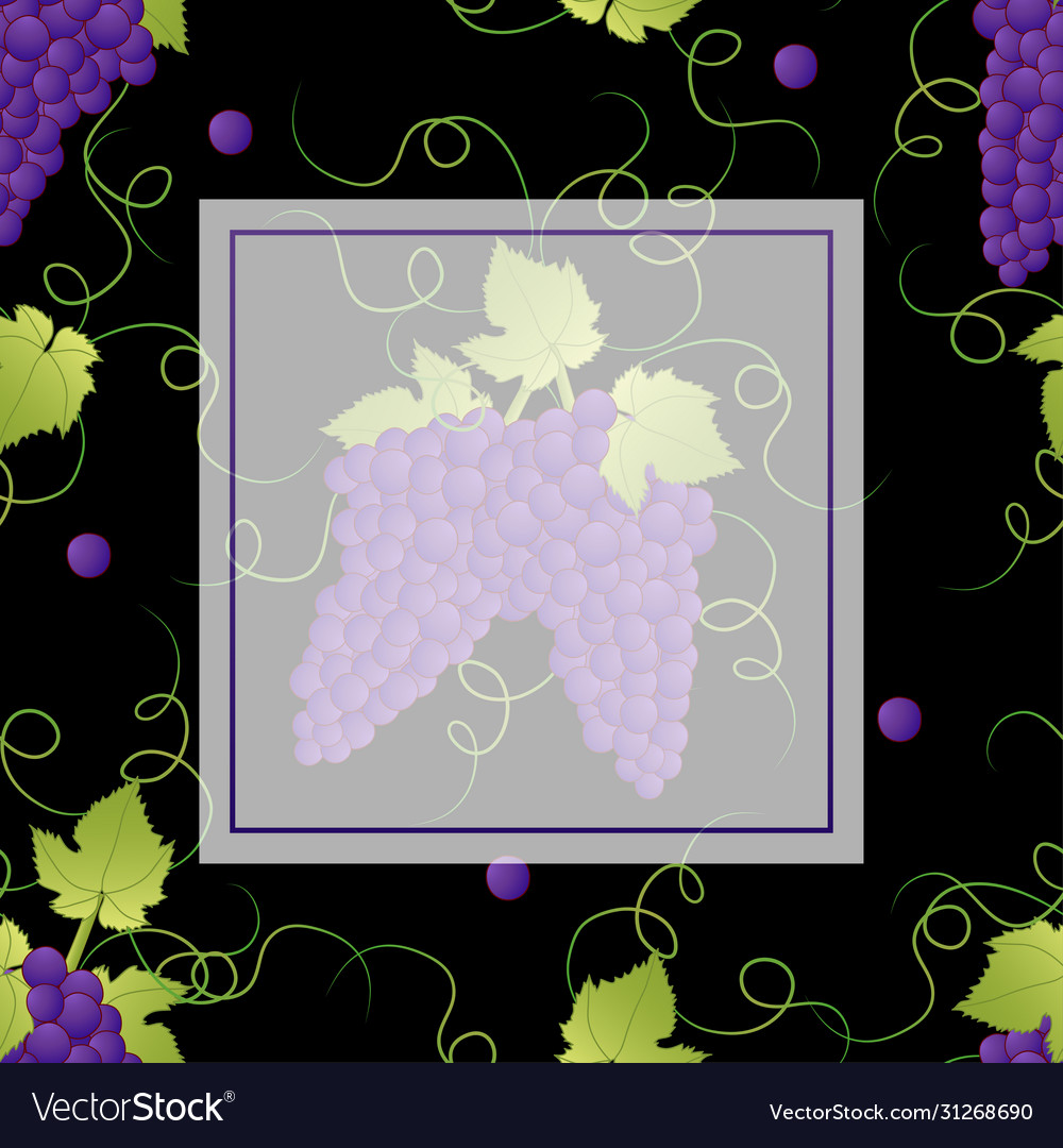 Purple grape banner on black background