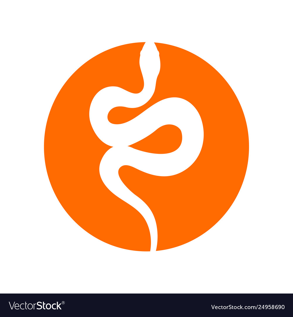 Sign silhouette snake isolated symbol icon Vector Image