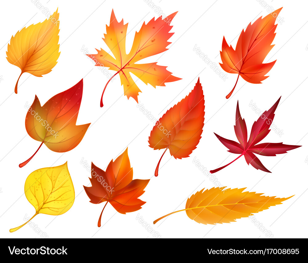 Autumn foliage fall falling leaves icons Vector Image