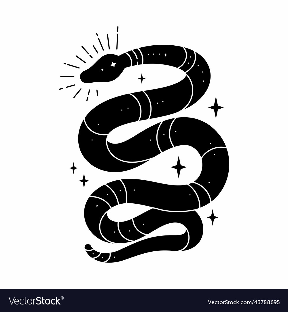 Black snake with mystical magic objects vector image Black snake with mystical magic objects