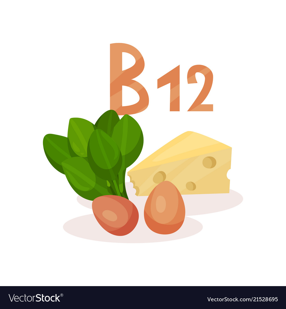 Food Sources Vitamin B12 Green Spinach Chicken Vector Image