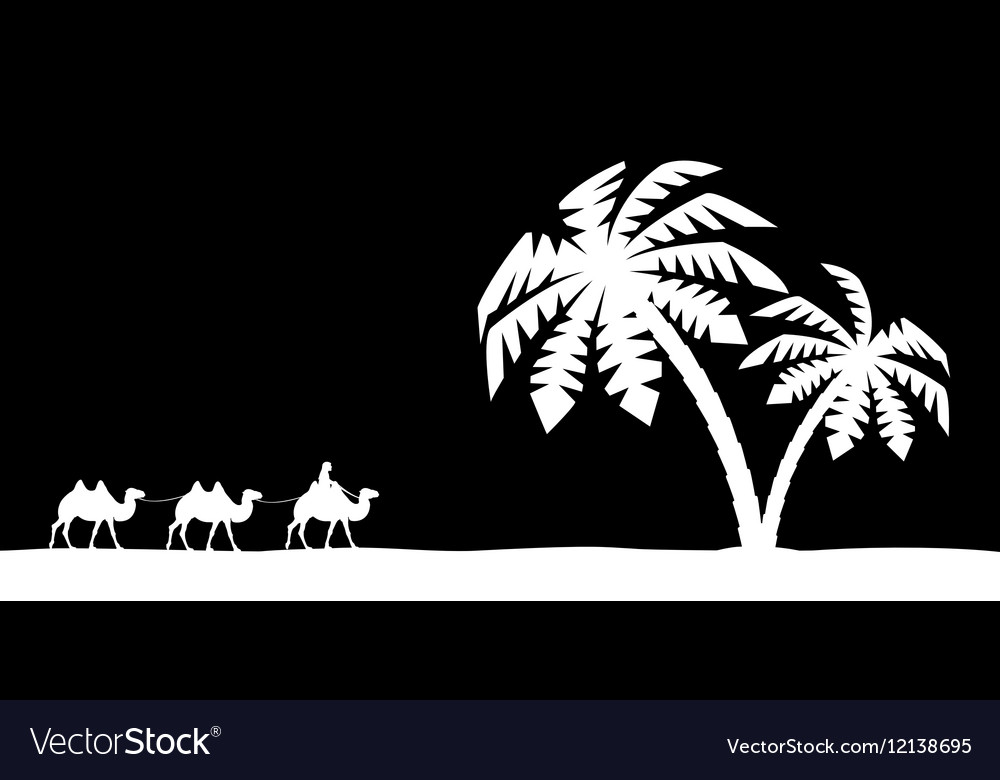 Man on the camel in palm trees