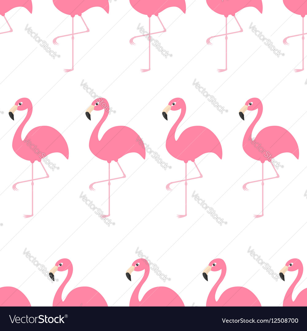 Flamingo Seamless Pattern