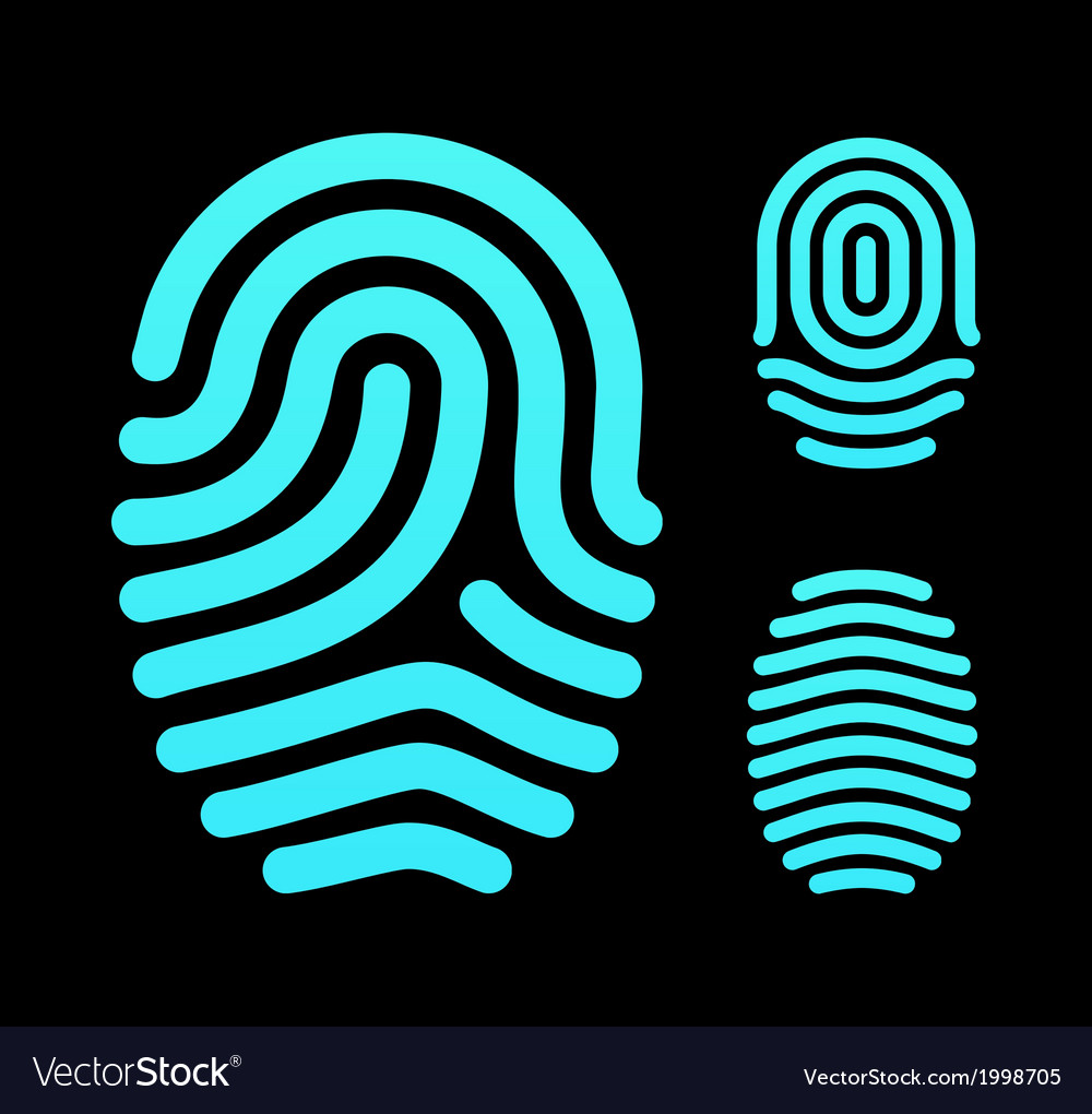 Fingerprint Patterns: Arch, Loop, Whorl