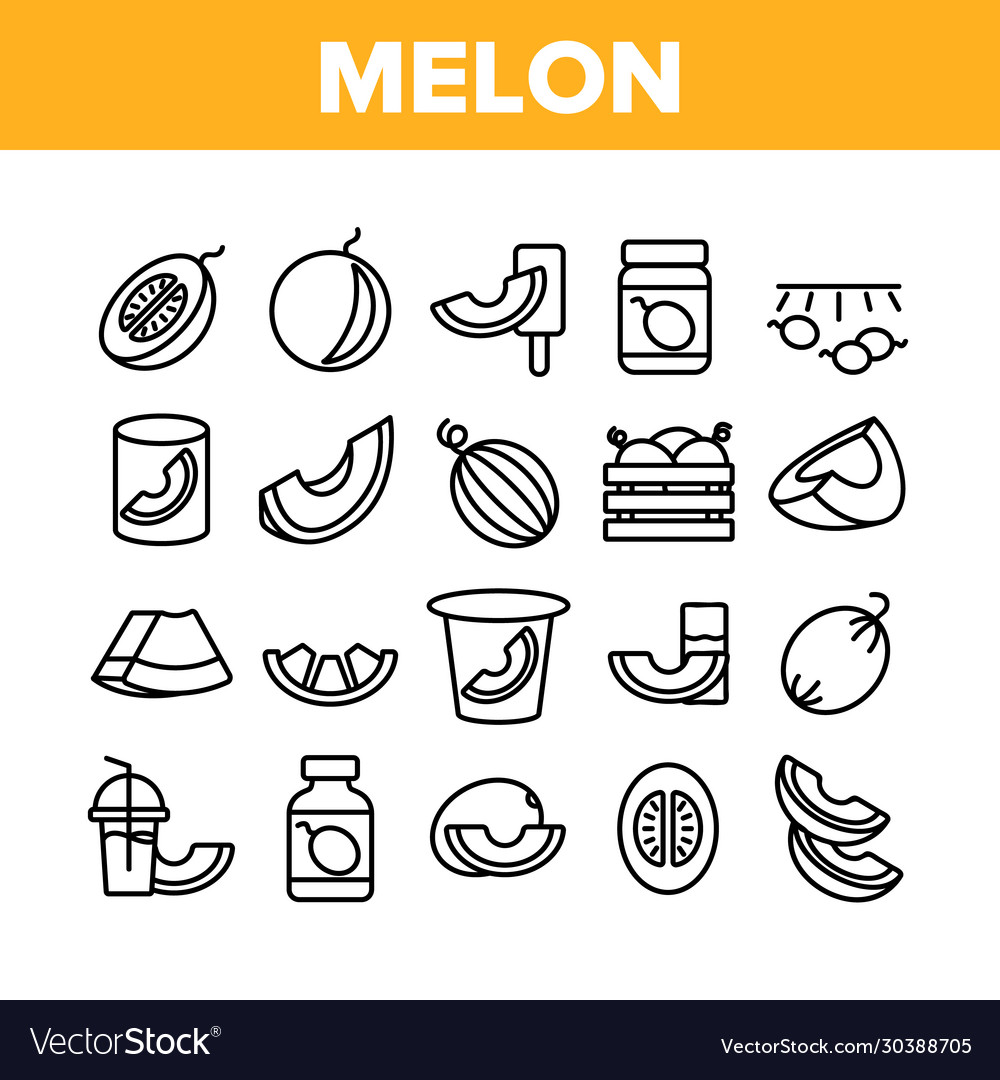 Melon organic fruit collection icons set