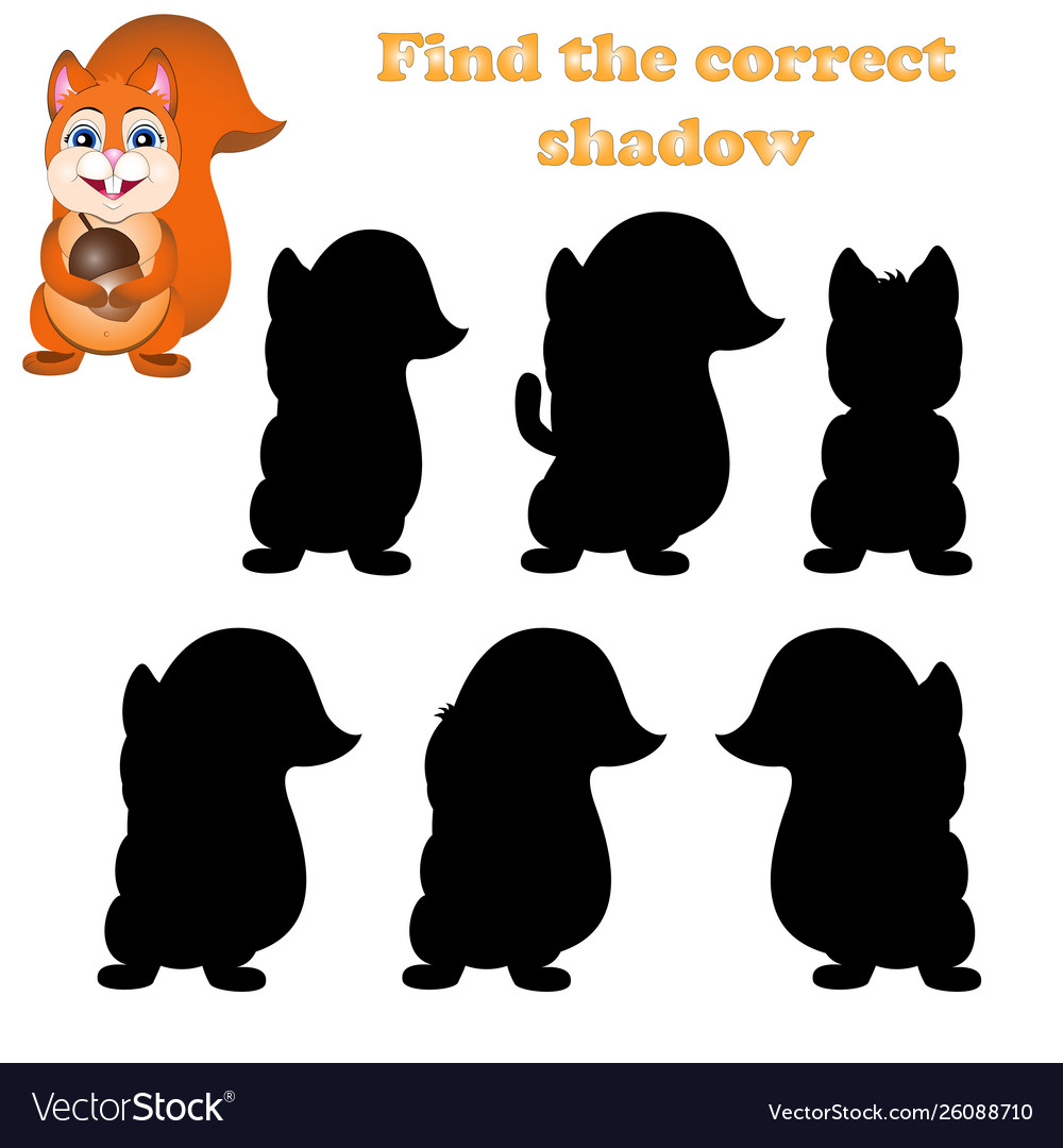 Premium Vector  Find the correct shadow find and match the