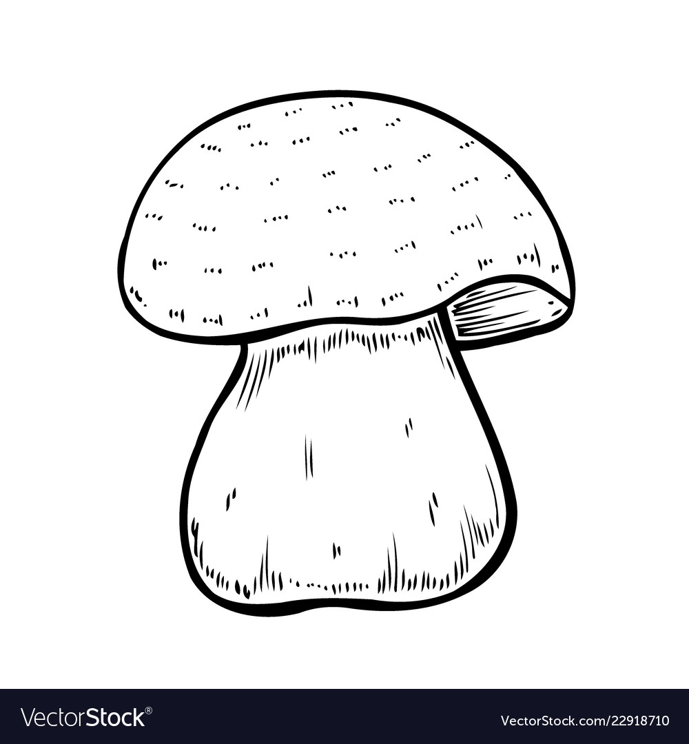 Hand drawn mushroom