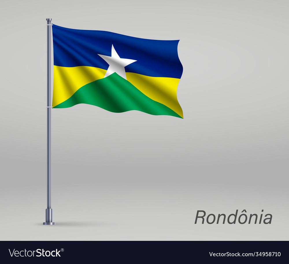 Rondonia administrative map with flag Royalty Free Vector