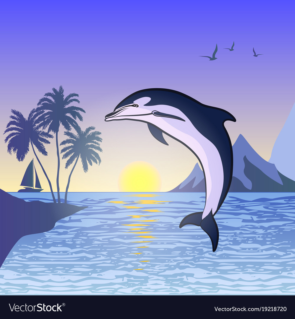 Featured image of post Sunset Dolphin Drawing : 5d diamond paintings let you create beautiful mosaics without needing to be an artist.