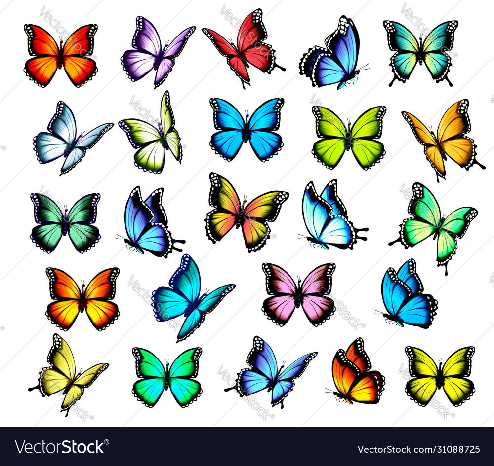 Big group colorful butterflies flying in Vector Image