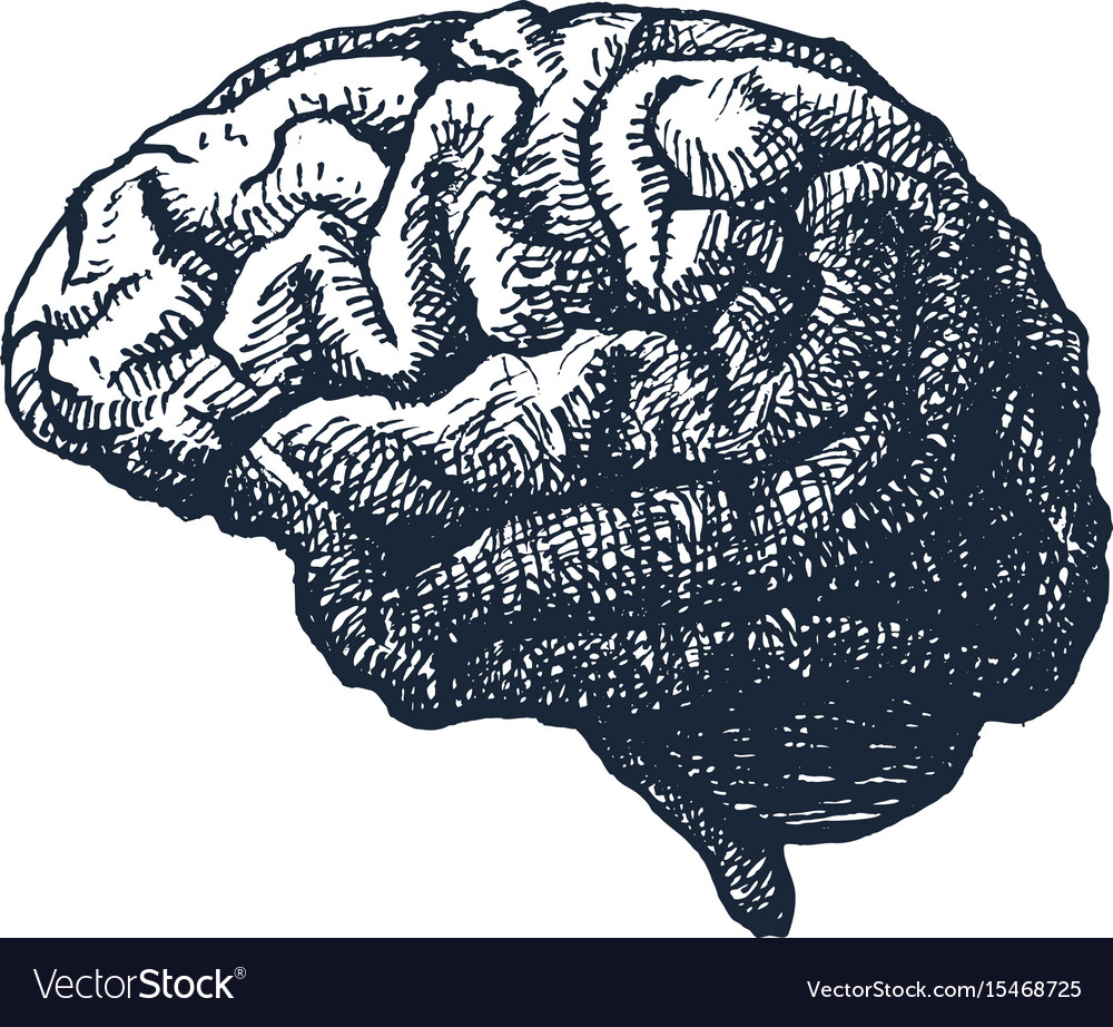 Human brain casting shadow Royalty Free Vector Image