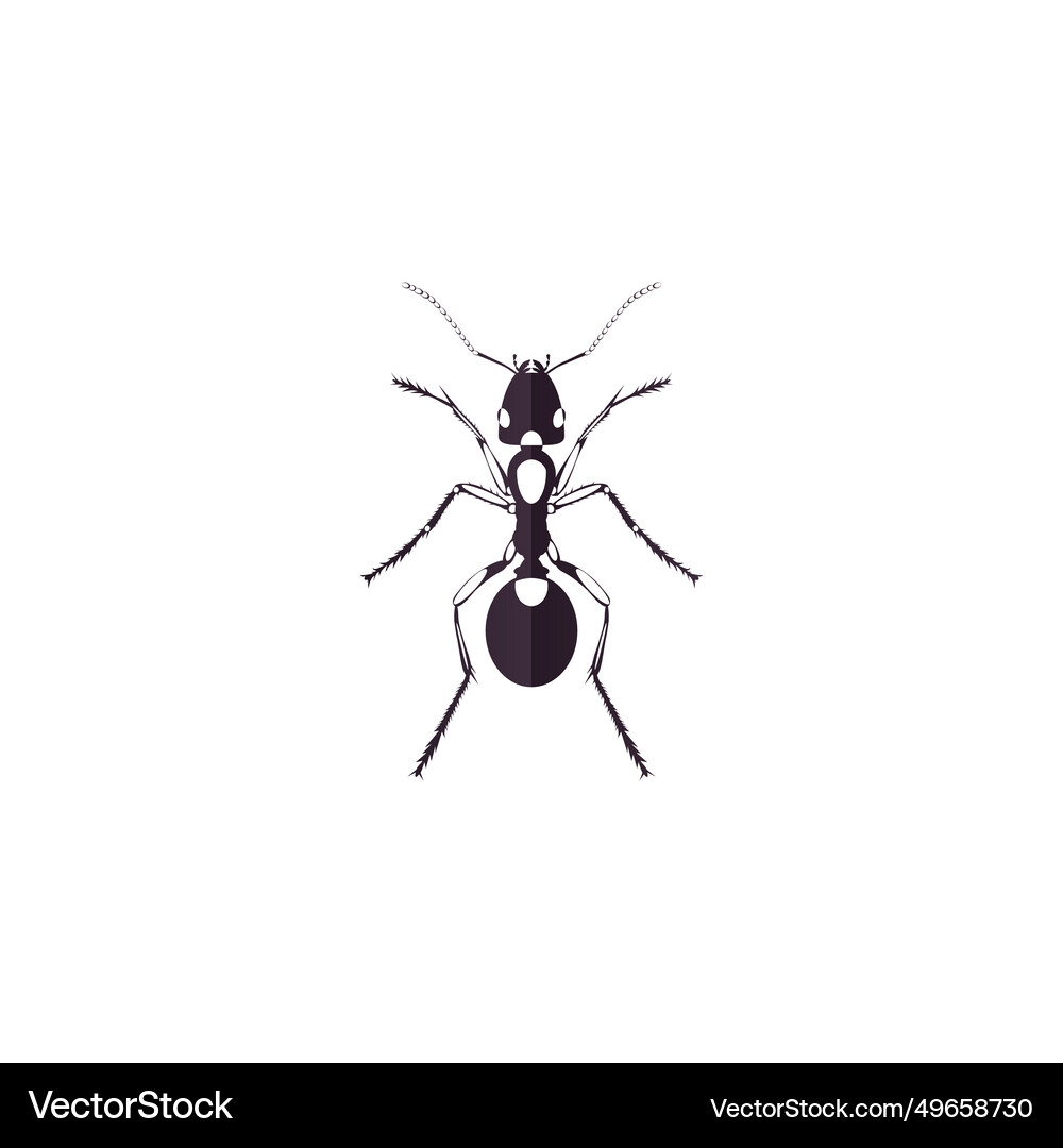 Ant logo design template Royalty Free Vector Image