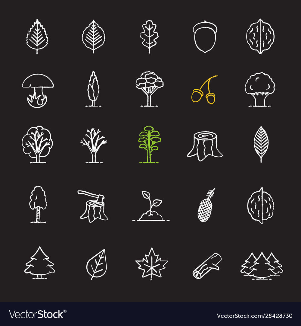 Tree types chalk icons set