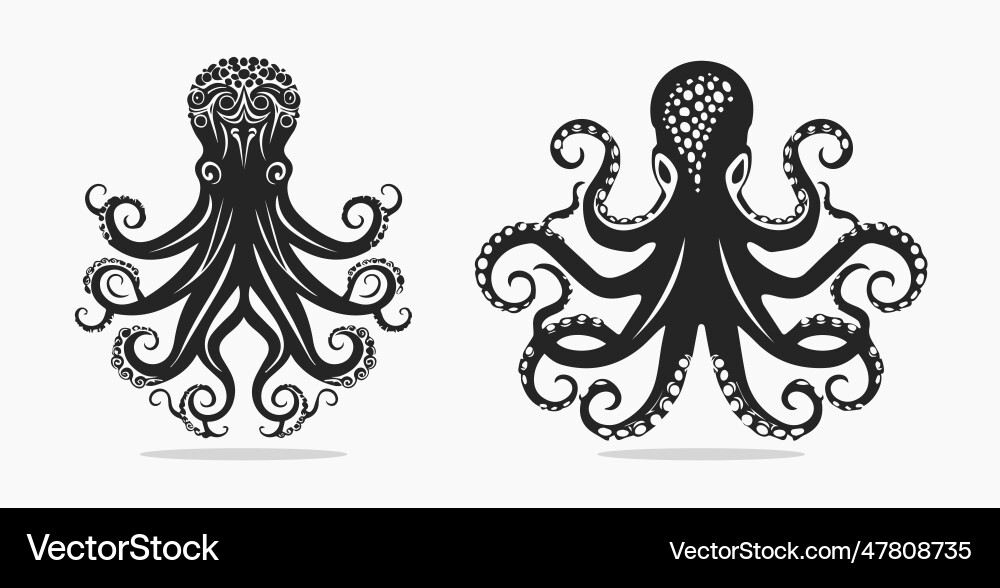 An octopus design on white background aquatic Vector Image