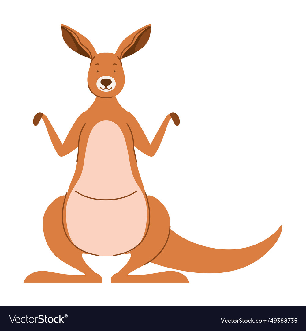 Australian kangaroo animal Royalty Free Vector Image