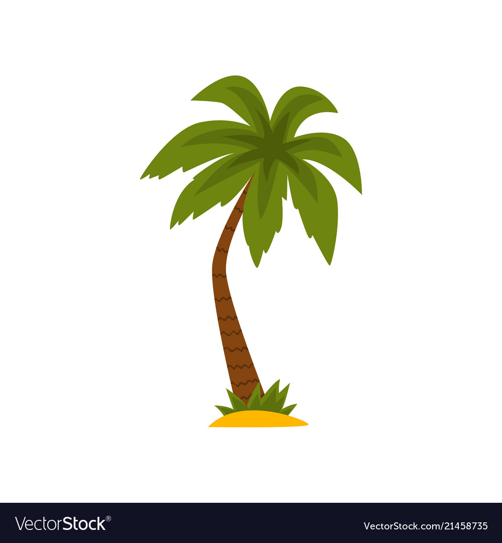 Beautiful green tropical palm tree Royalty Free Vector Image