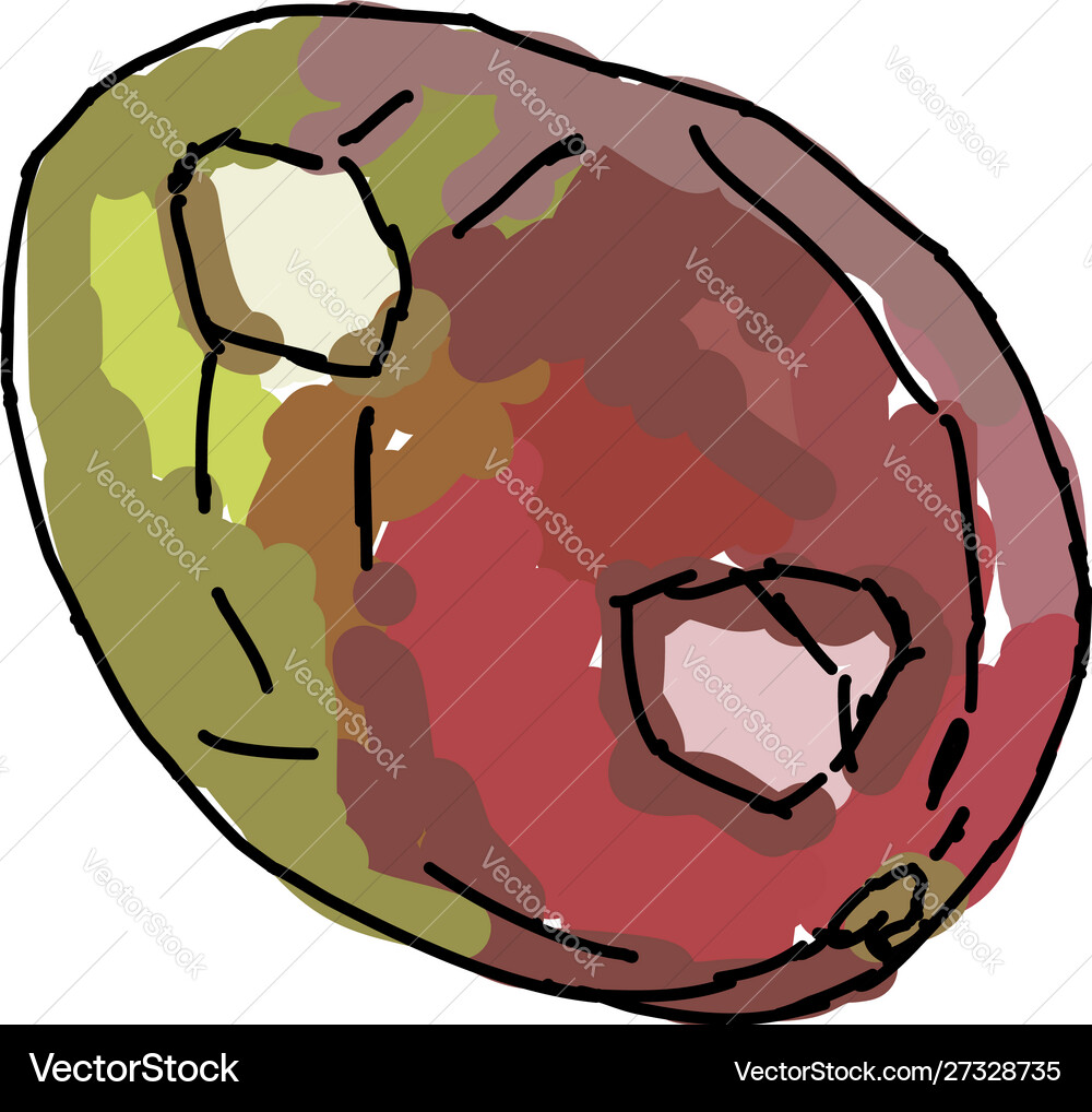 Mango on white background Royalty Free Vector Image