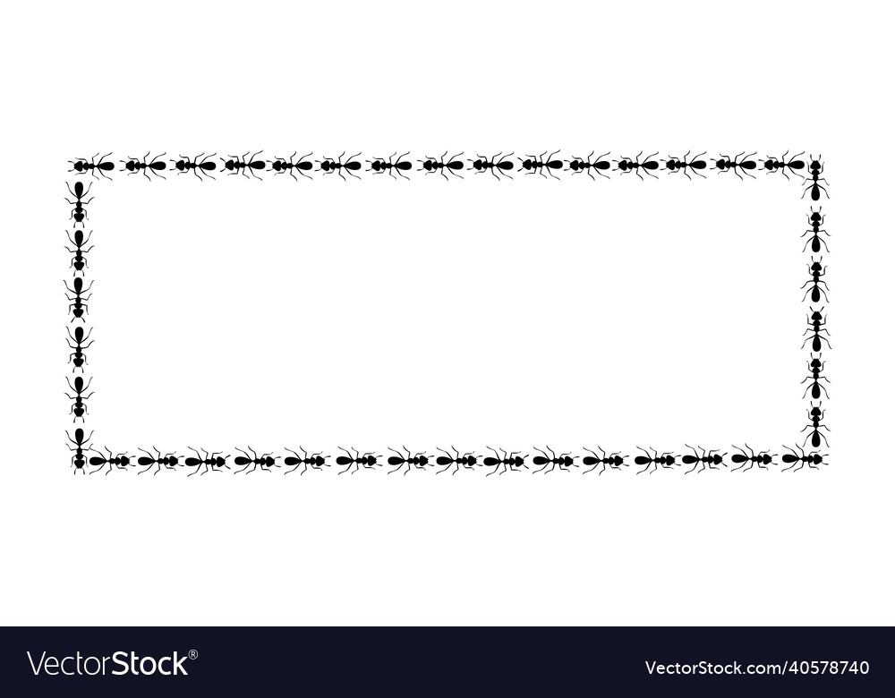 Ants square border forming rectangular shape vector image Ants square border forming rectangular shape