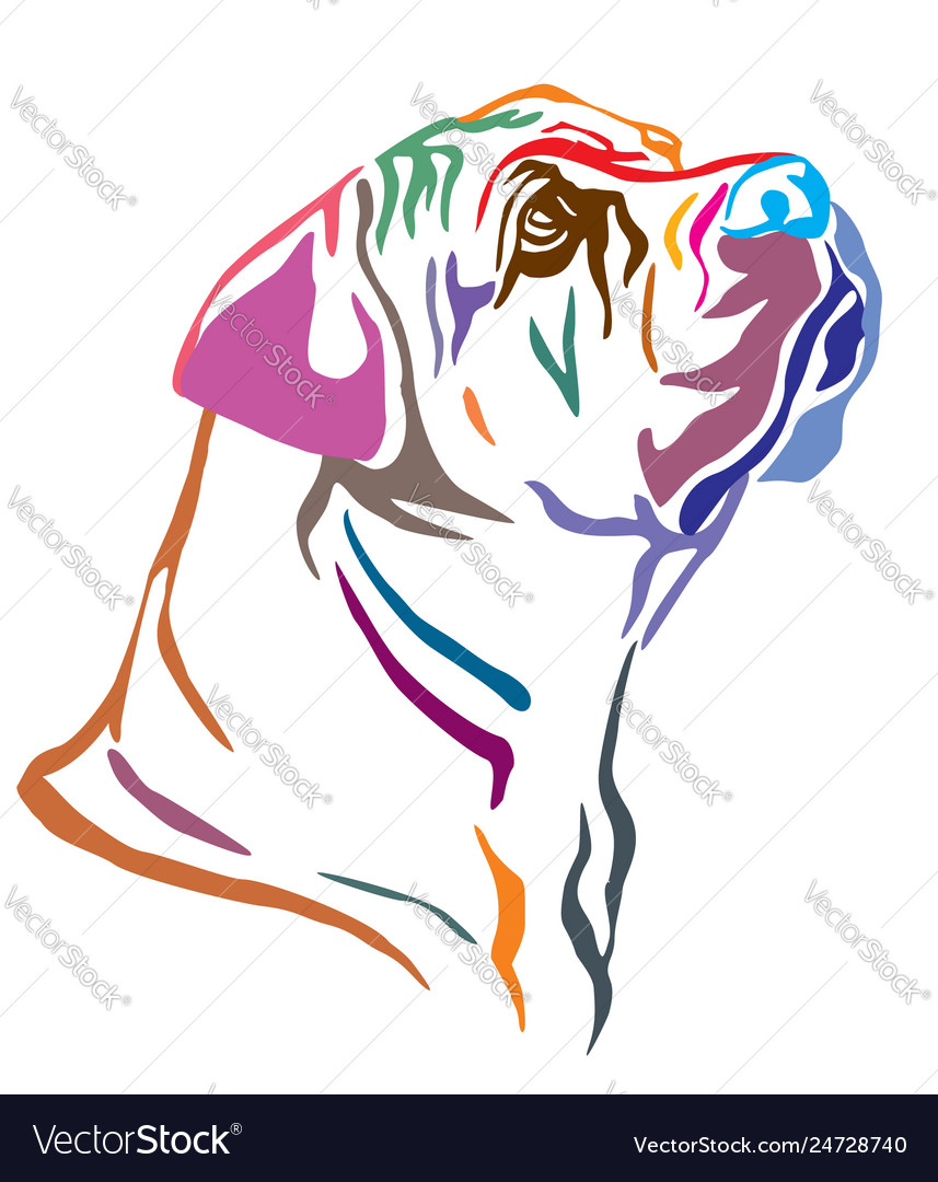 Boerboel Dog Portrait - Bunte Outline
