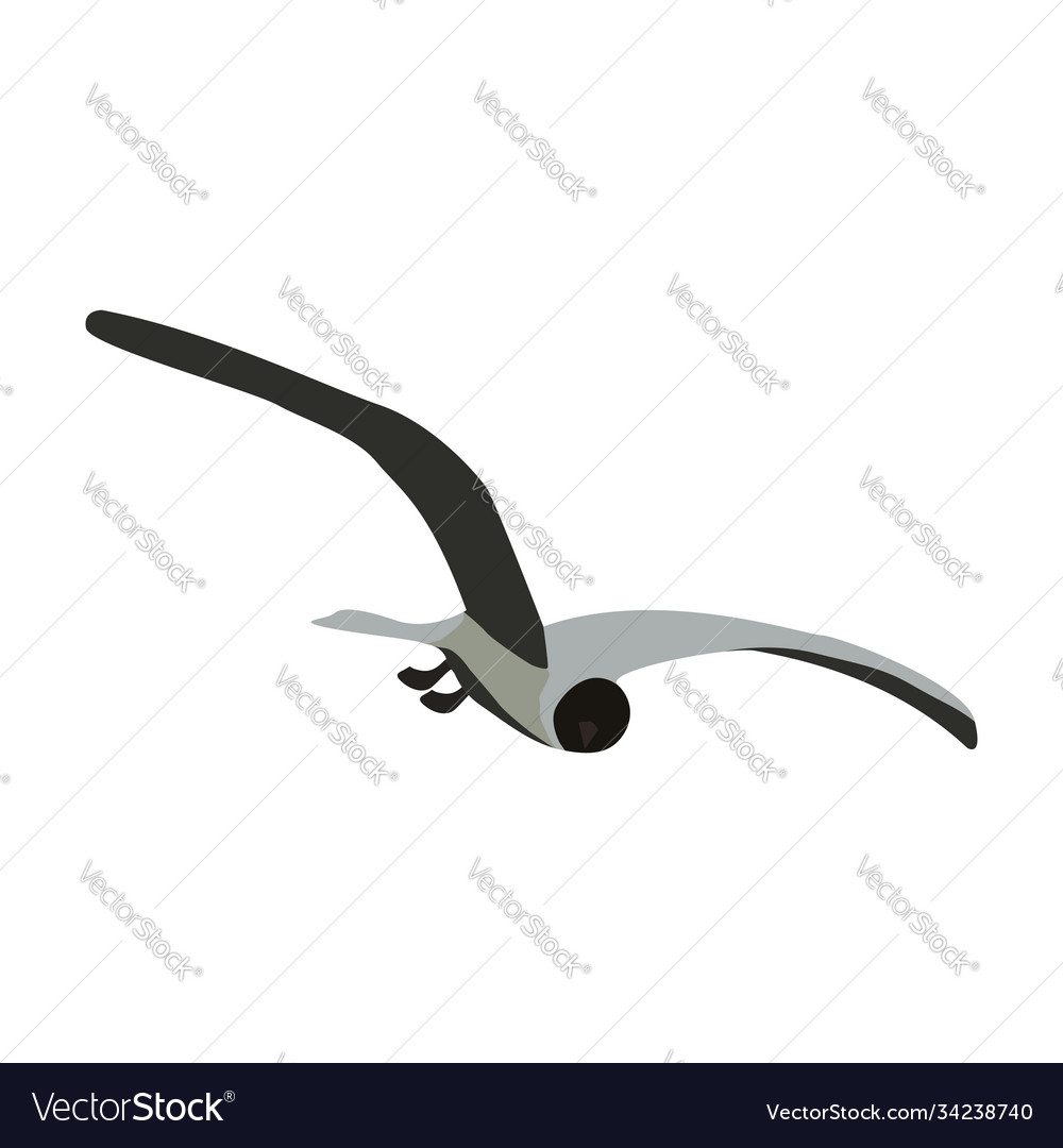 Tern bird with spread wings isolated on white