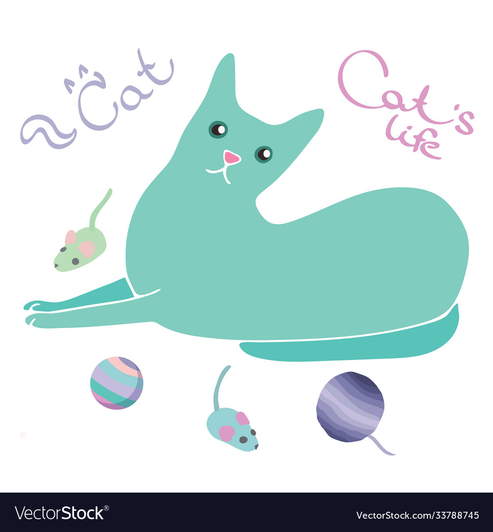 Isolated multicolored cat