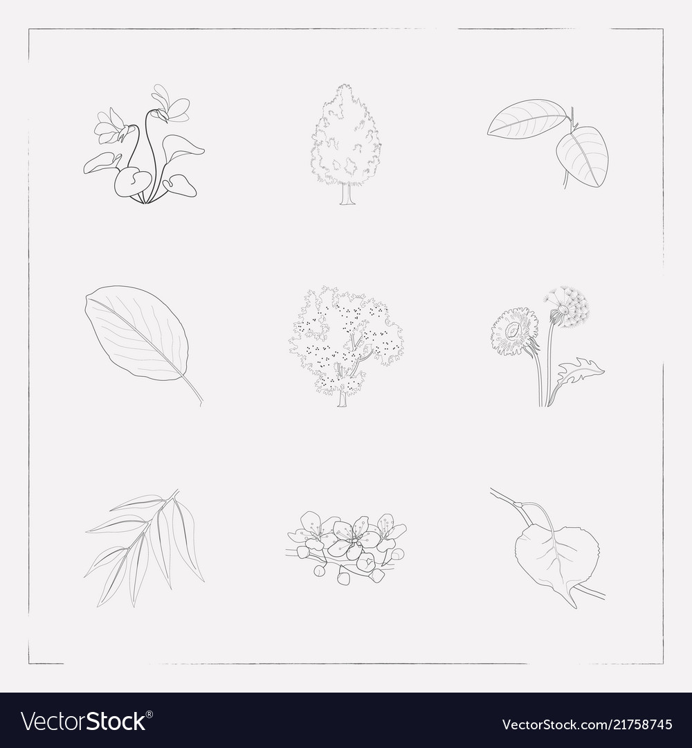 Set of botany icons line style symbols with cherry vector image Set of botany icons line style symbols with cherry