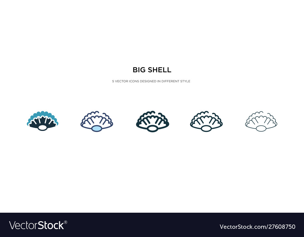 Big shell icon in different style two colored
