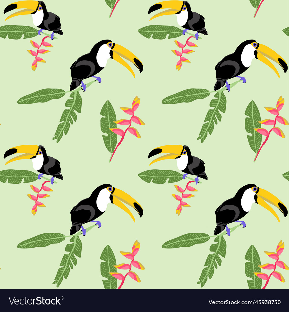 Exotic bird with big nib toucan and tropical