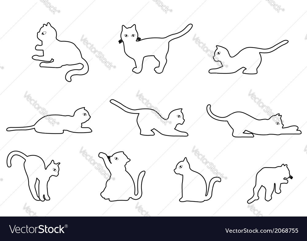 Cartoon Cat Outline
