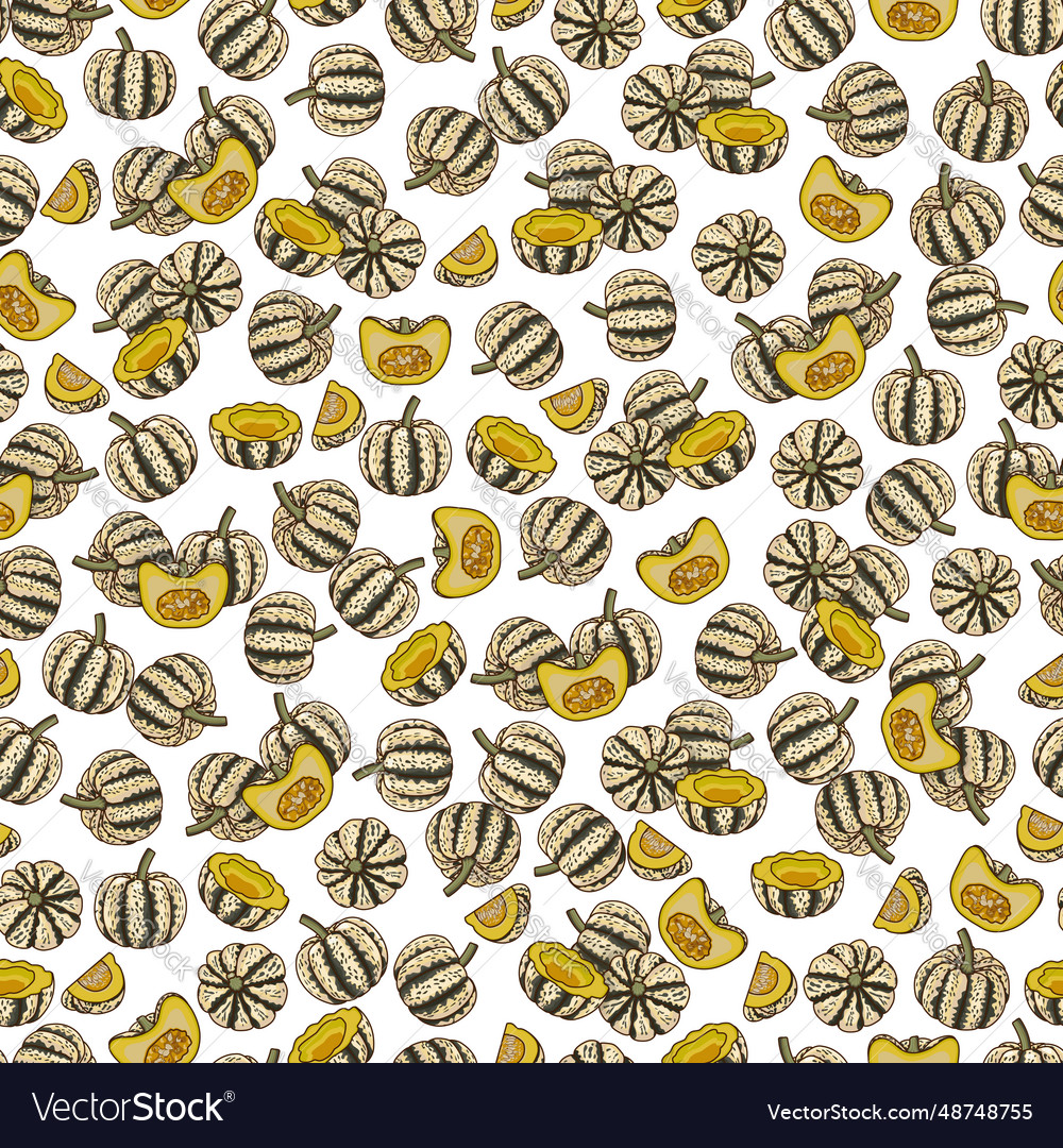 Seamless pattern with sweet dumpling squash vector image Seamless pattern with sweet dumpling squash