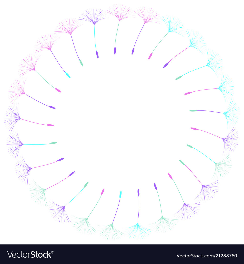 Abstract frame of a dandelion for design vector image Abstract frame of a dandelion for design