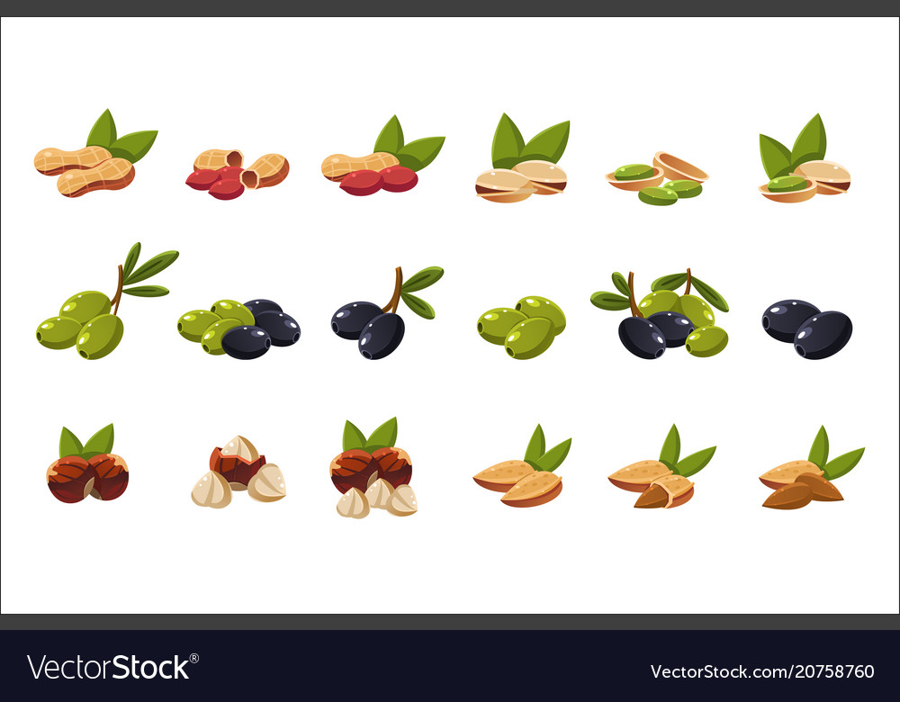 Nuts and olives set nutritious natural products