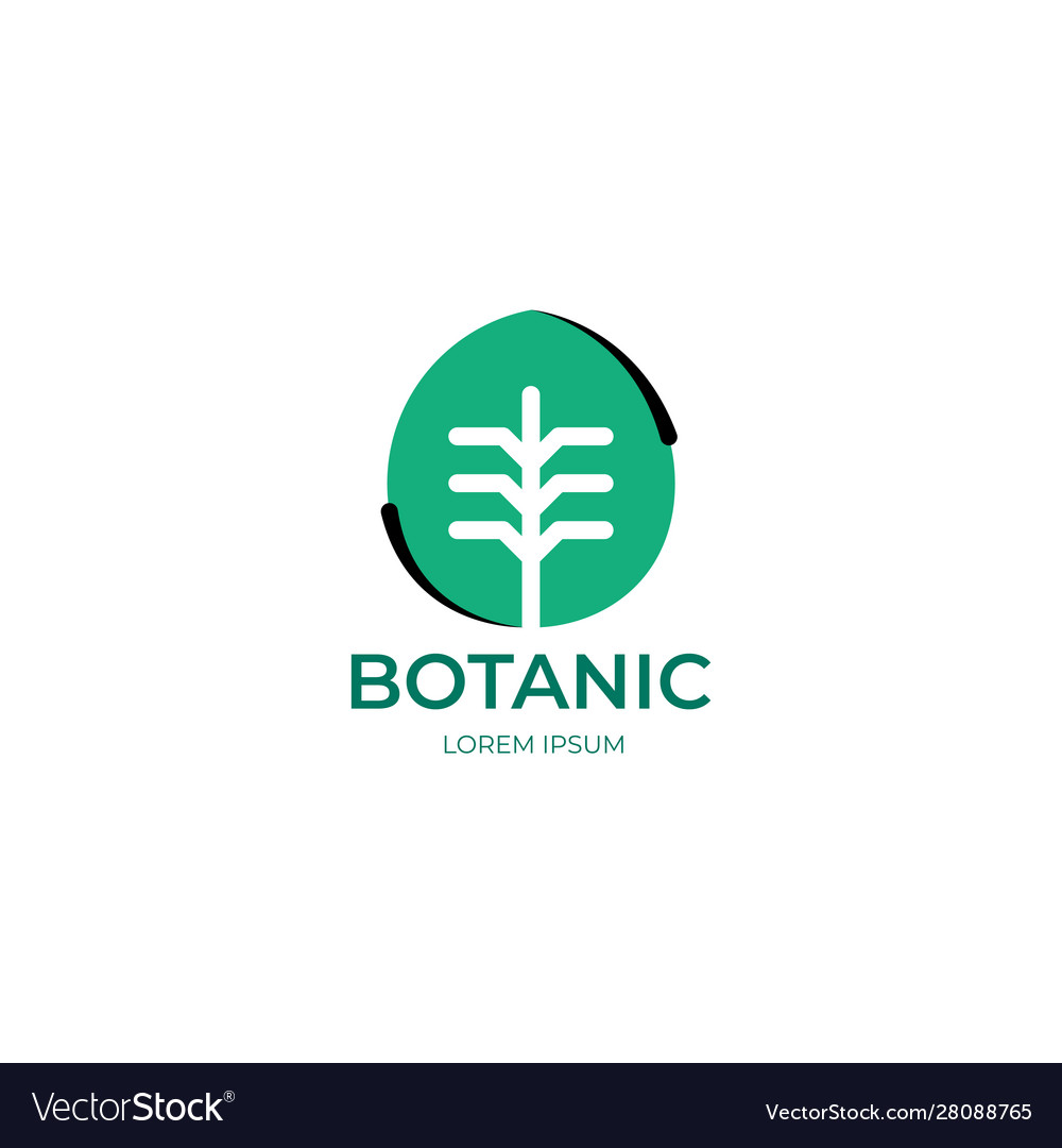 Green leaf modern logo design fresh nature