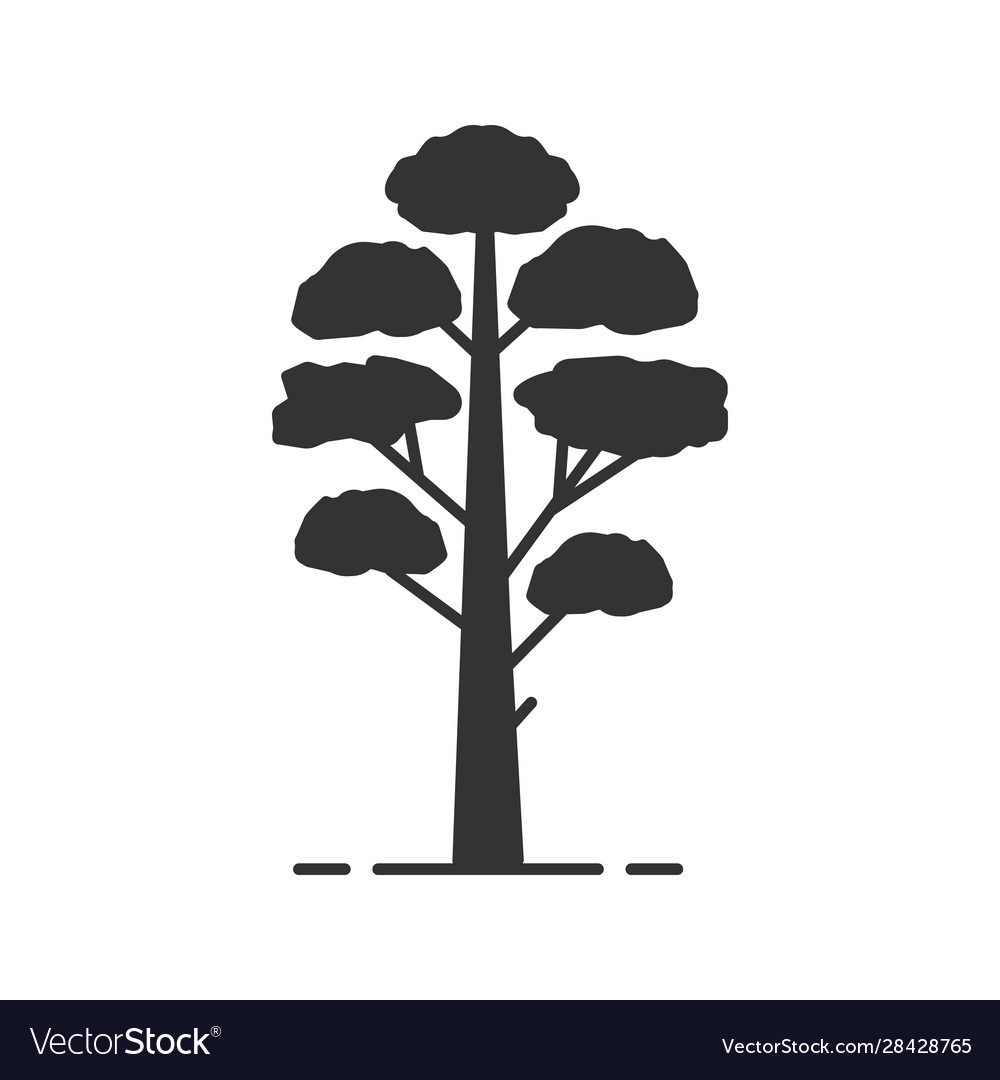 Pine tree glyph icon