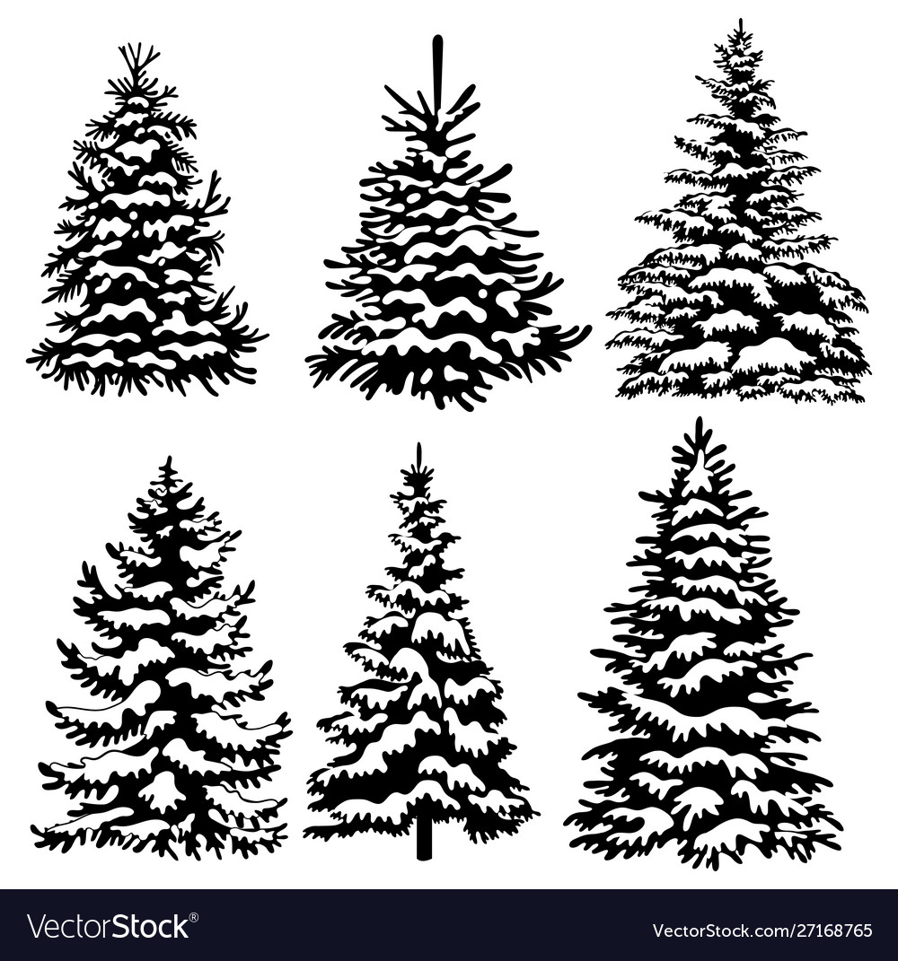 Set christmas trees collection black and Vector Image