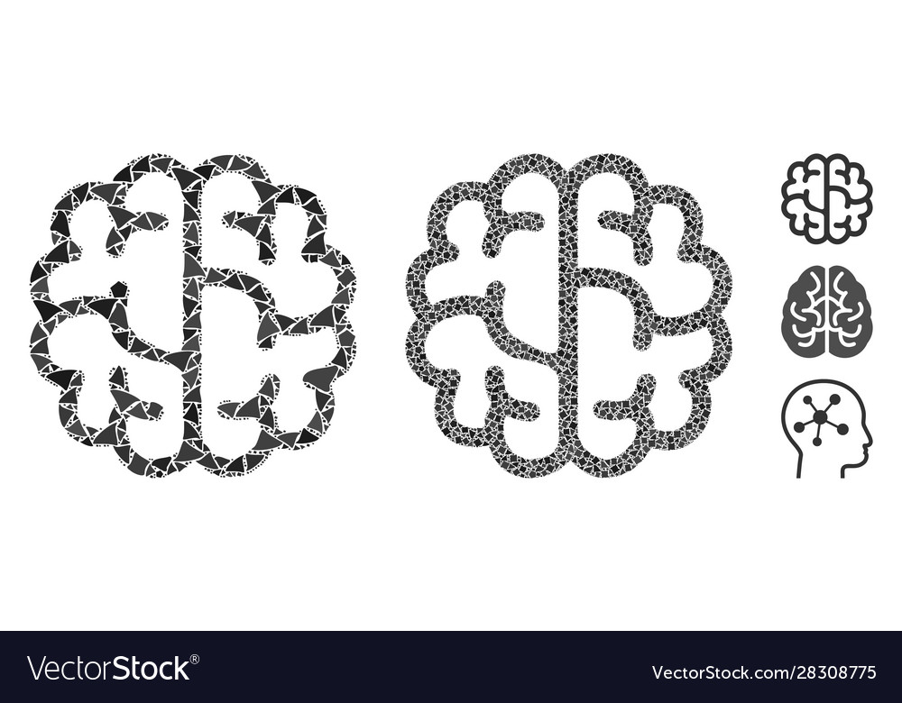 Brain composition icon bumpy pieces vector image Brain composition icon bumpy pieces