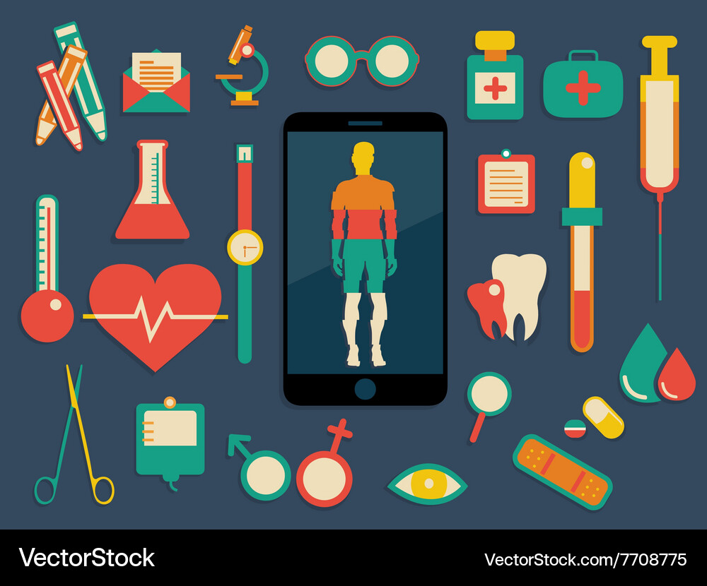 Human anatomy Royalty Free Vector Image - VectorStock