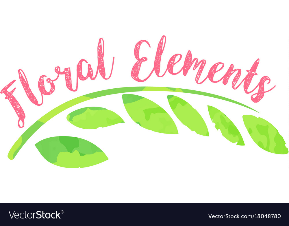 Word floral elements on white background