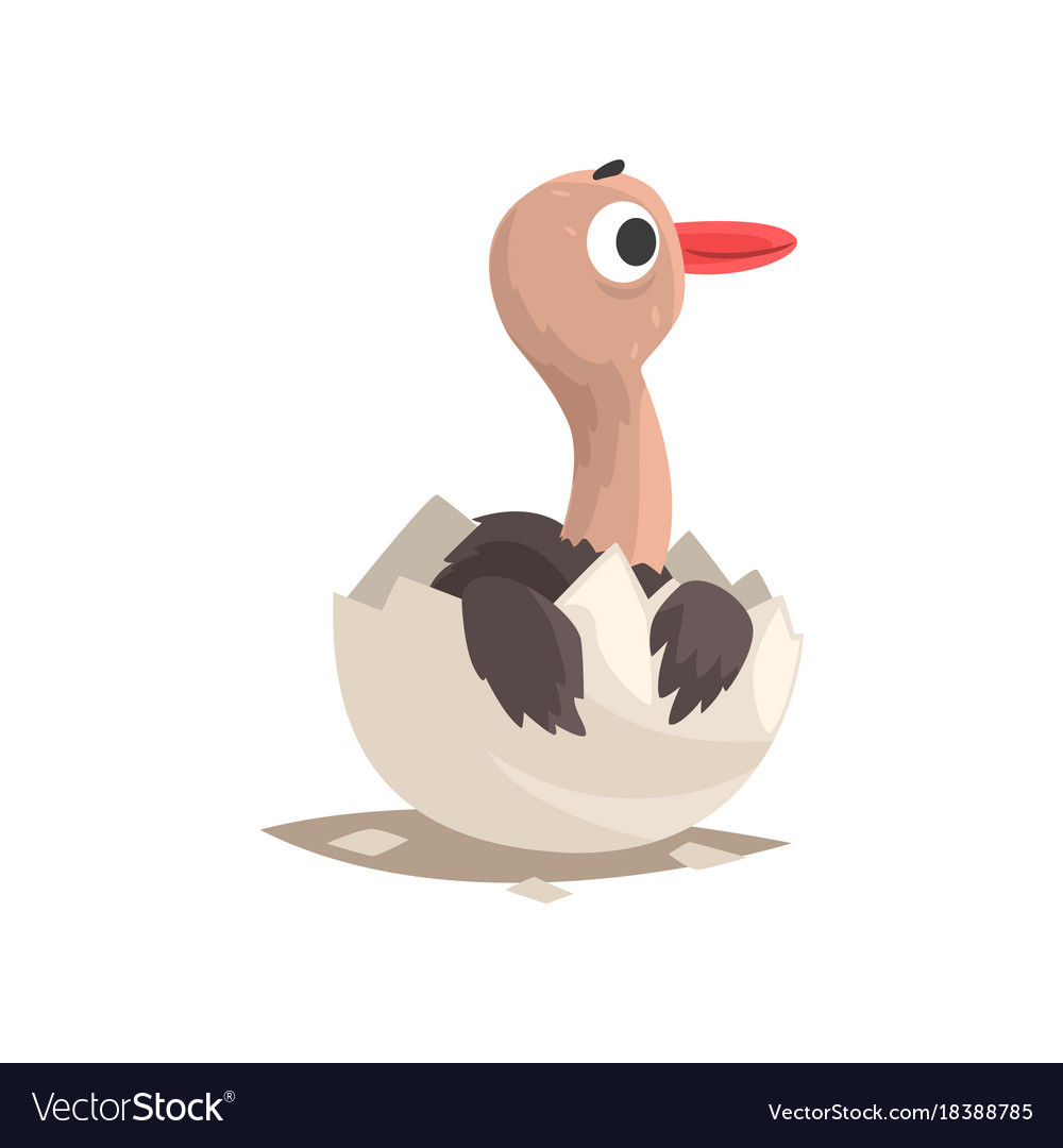 Cute ostrich bain broken egg shell Royalty Free Vector Image
