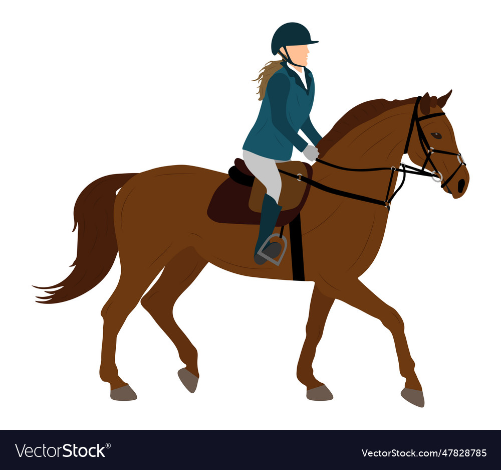 Horse gait and jockey equestrian sports Royalty Free Vector