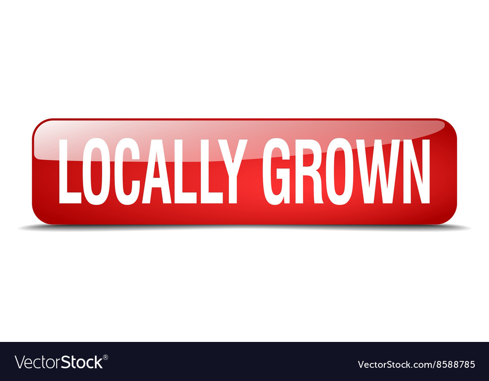 Locally grown red square 3d realistic isolated web