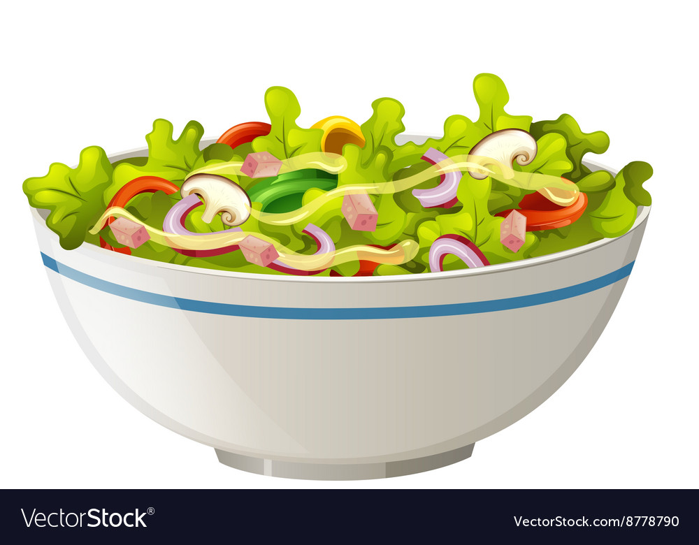 Bowl green salad Royalty Free Vector Image - VectorStock