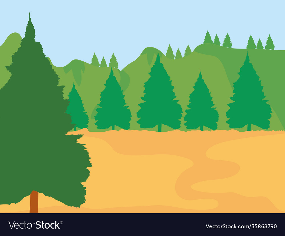 Forest landscape with pine trees colorful design