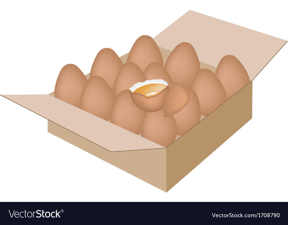 Fresh chicken eggs in a shipping box