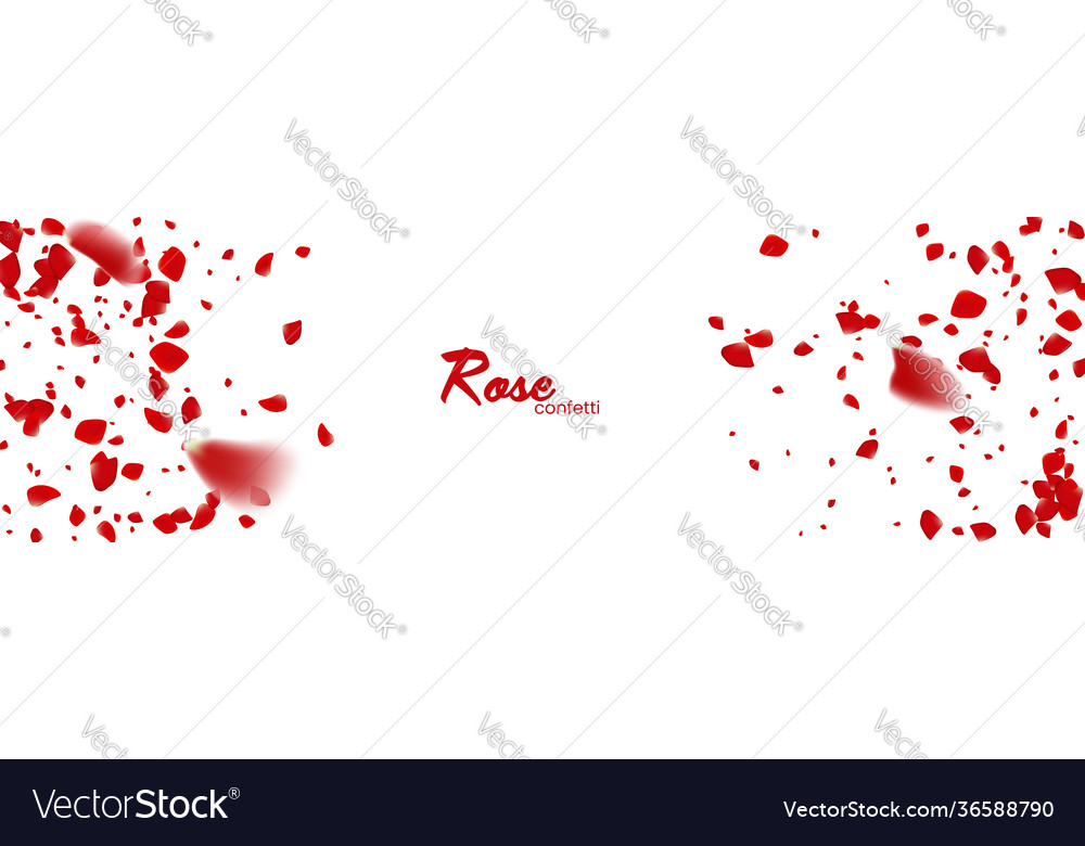 Rose confetti on a white background the red